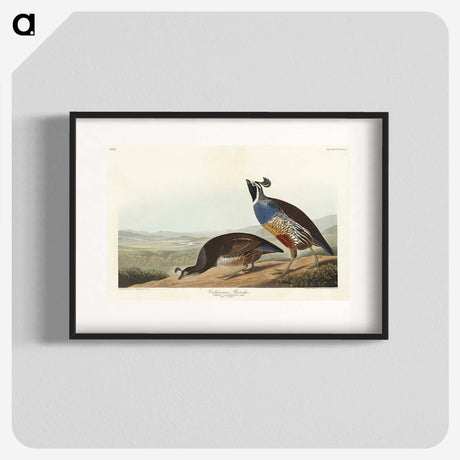 2-5_John-James-Audubon_blk