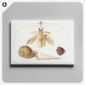 2-5_Joris-Hoefnagel_canvas