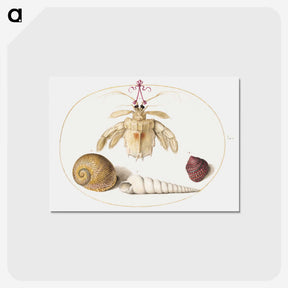 2-5_Joris-Hoefnagel_postcard