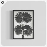 2-5_Karl-Blossfeldt_blk-crop