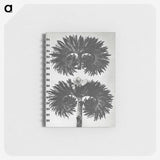 2-5_Karl-Blossfeldt_memo