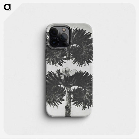 2-5_Karl-Blossfeldt_phone