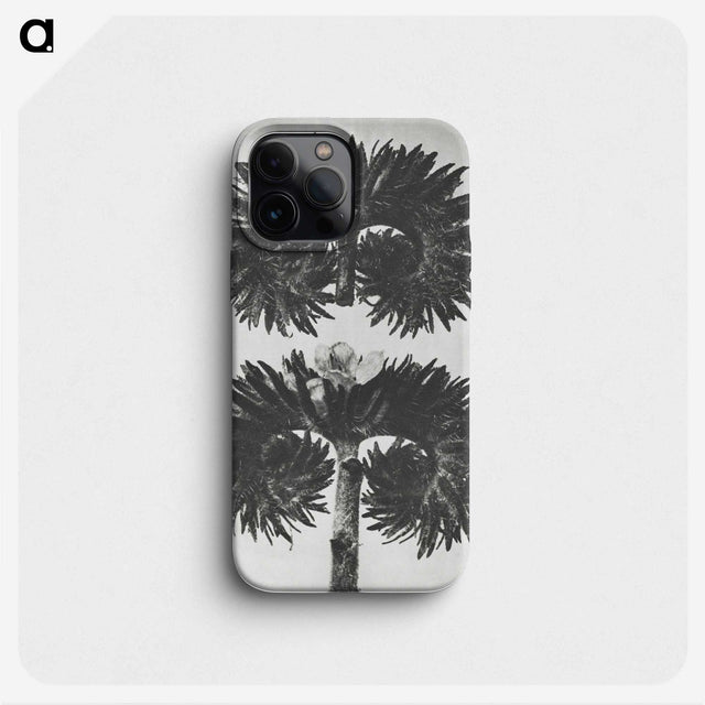 2-5_Karl-Blossfeldt_phone