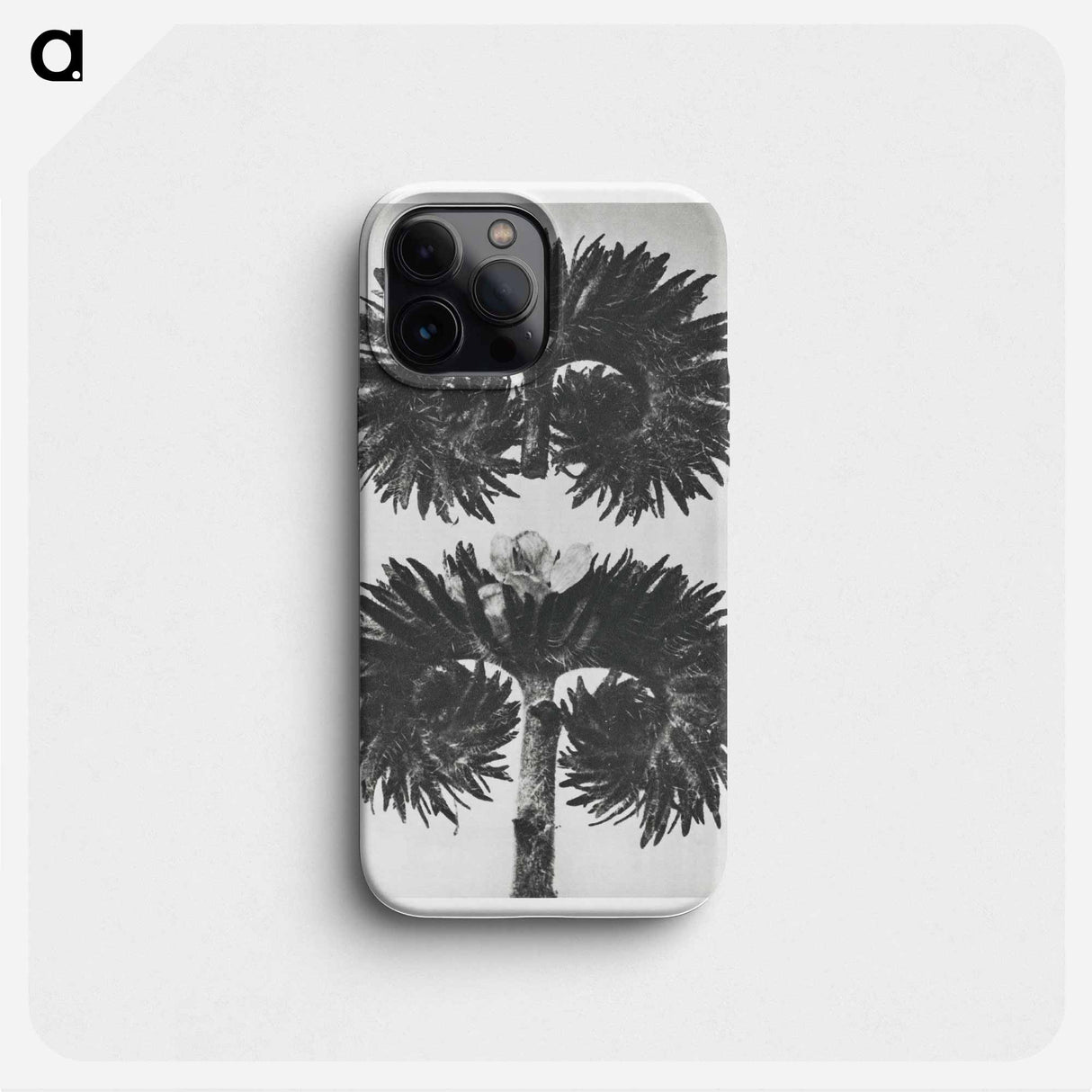 Phacelia Tanacetifolia - Karl Blossfeldt Phone Case.