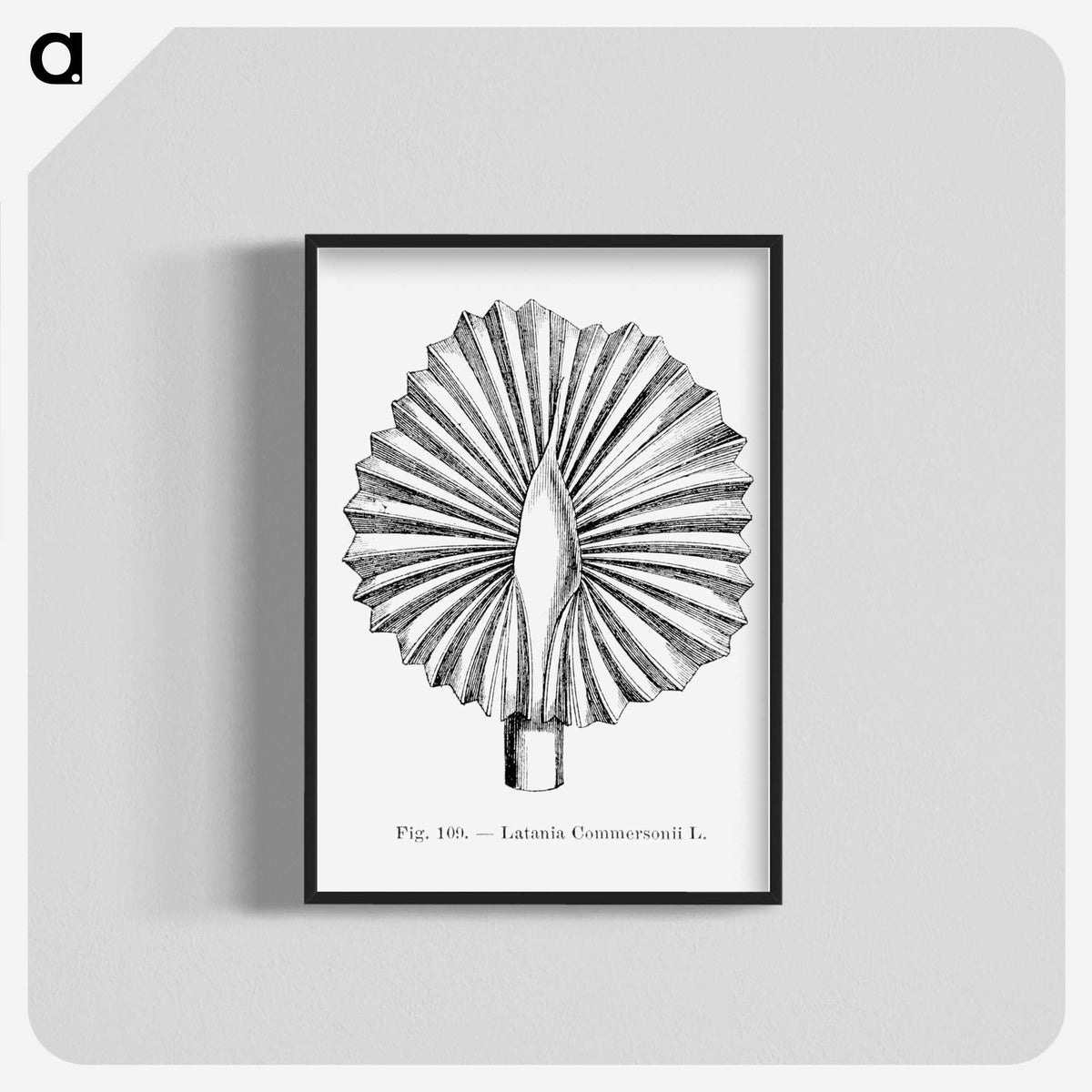 2-5_Les-Palmiers-Histoire-Iconographique_blk-crop
