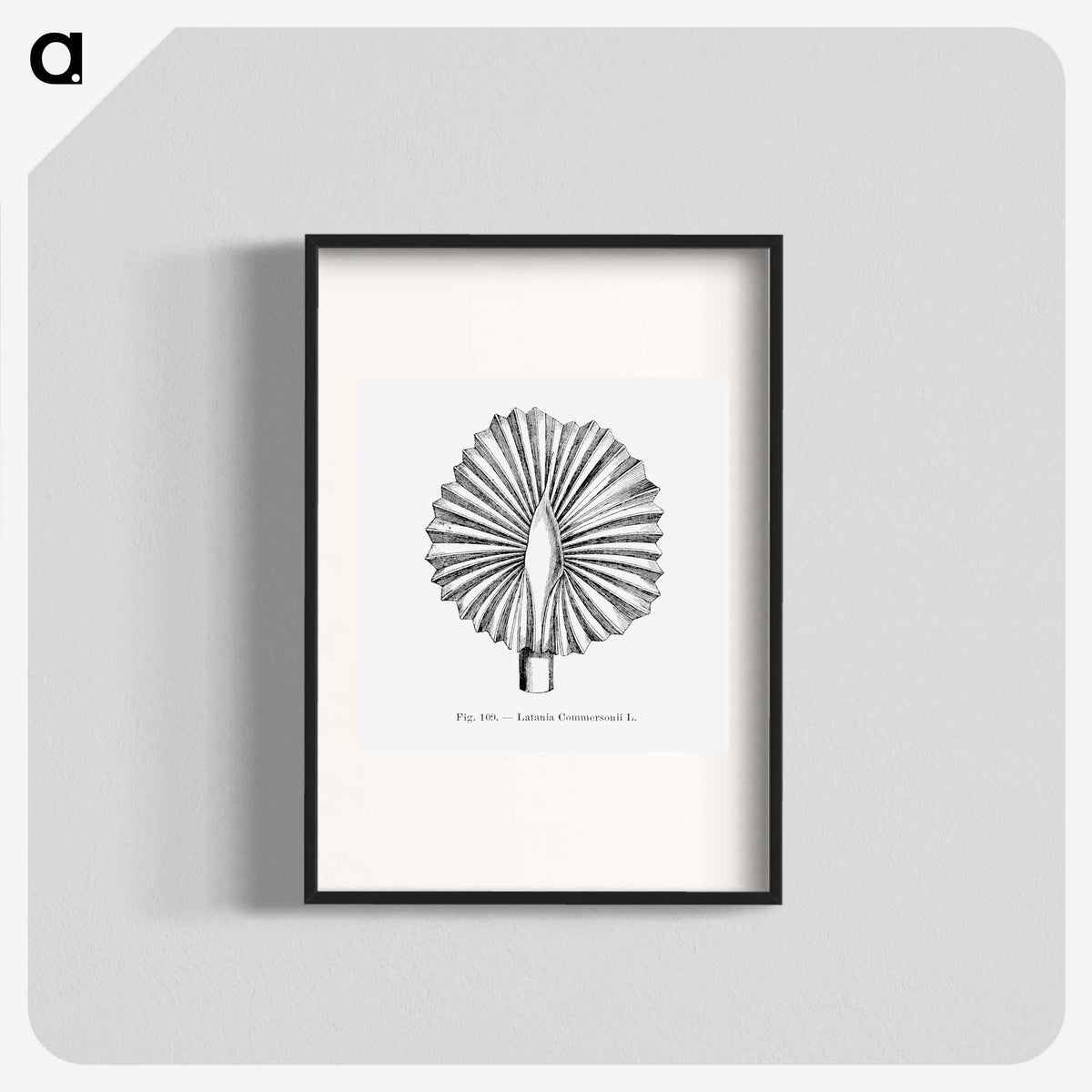 2-5_Les-Palmiers-Histoire-Iconographique_blk