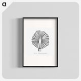 2-5_Les-Palmiers-Histoire-Iconographique_blk