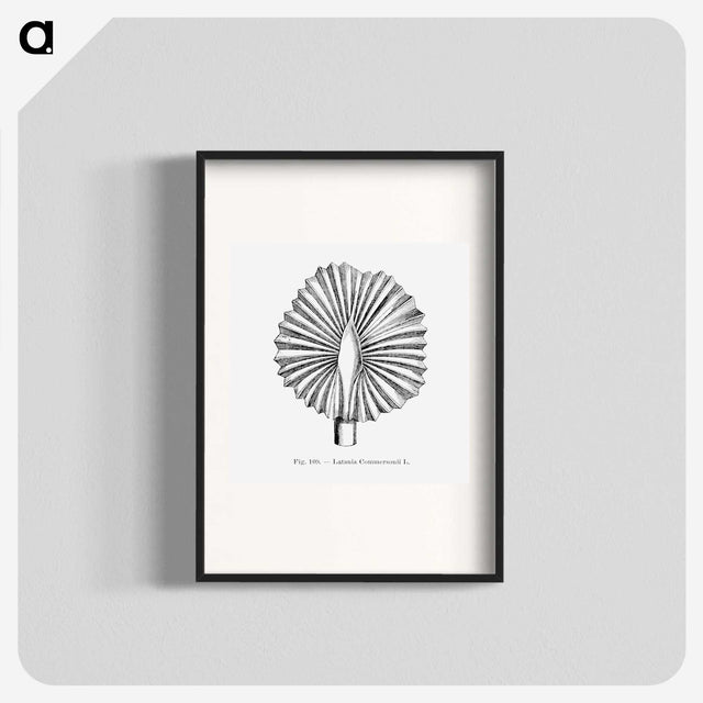2-5_Les-Palmiers-Histoire-Iconographique_blk