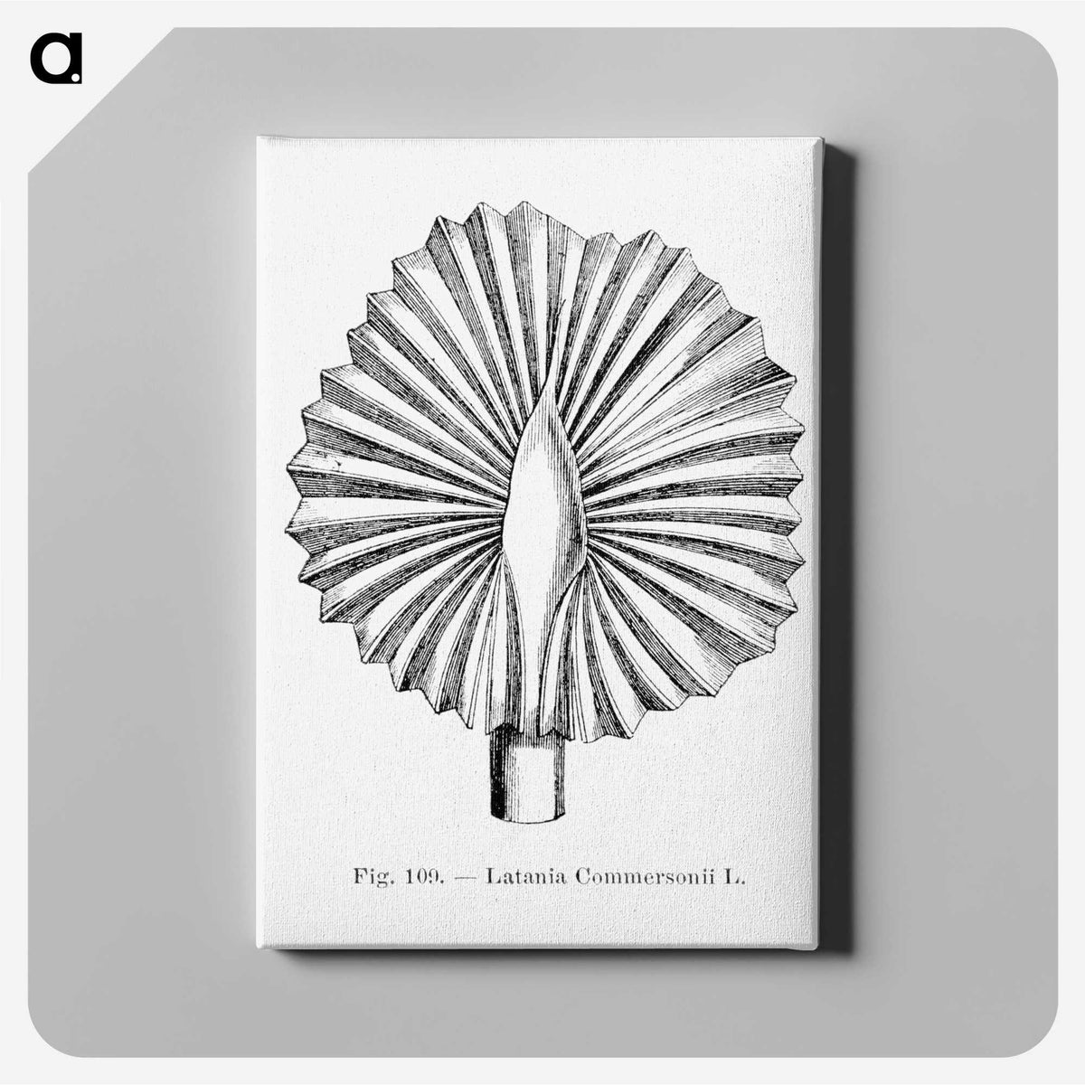2-5_Les-Palmiers-Histoire-Iconographique_canvas