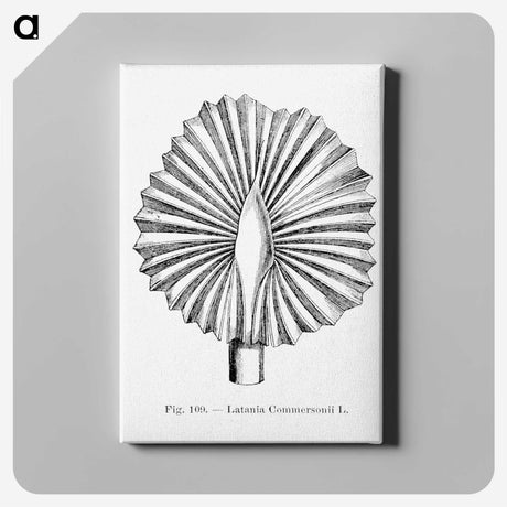 2-5_Les-Palmiers-Histoire-Iconographique_canvas