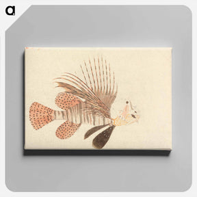 アートパネル-A Fish
 - ルイージ バルガーニ Canvas.