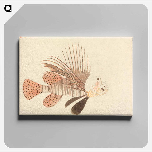 アートパネル-A Fish
 - ルイージ バルガーニ Canvas.