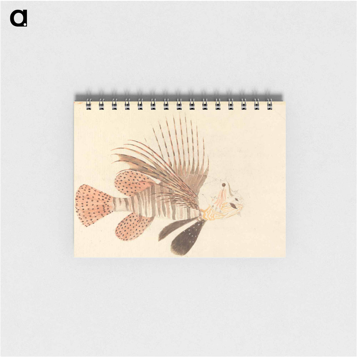 A Fish
 - Luigi Balgani Memo.