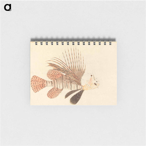 A Fish
 - ルイージ バルガーニ Memo.