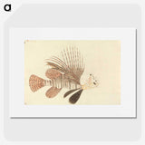2-5_Luigi-Balugani_picture
