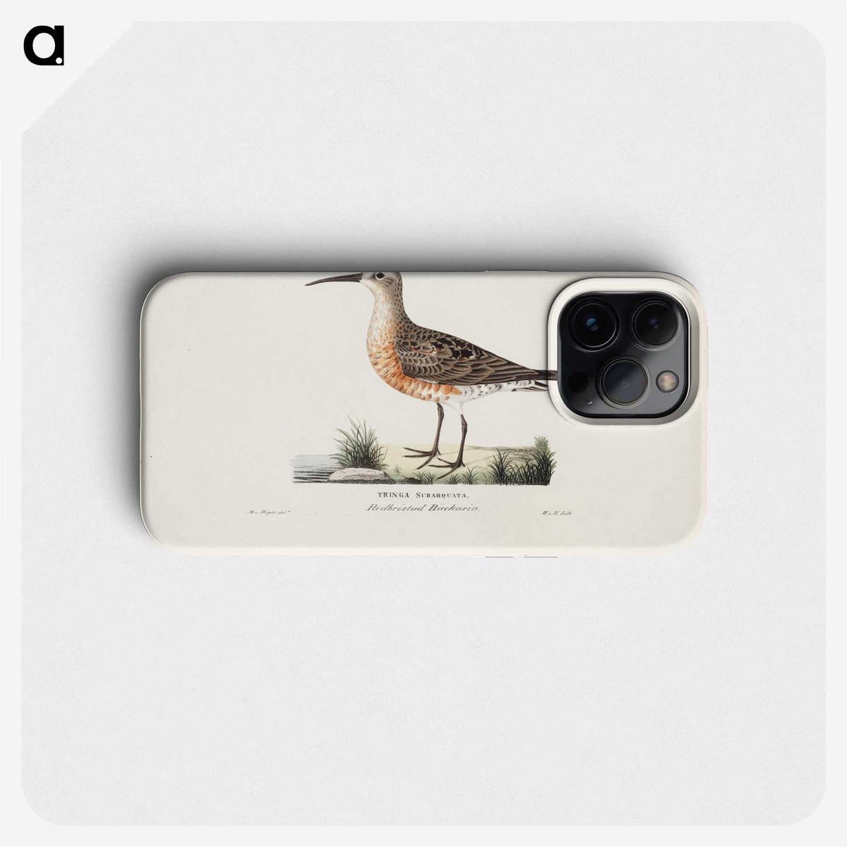 2-5_Magnus-von-Wright_phone