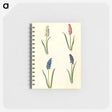 2-5_Maria-Sibylla-Merian_memo