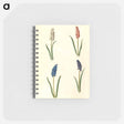 アートメモ帳-Muscari botryoides
 - マリア ジビーラ メーリアン Memo.