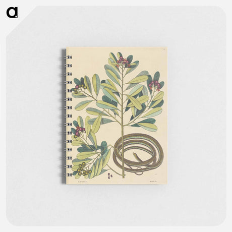 アートメモ帳-The Ribbon Snake
 - マーク ケイツビー Memo.