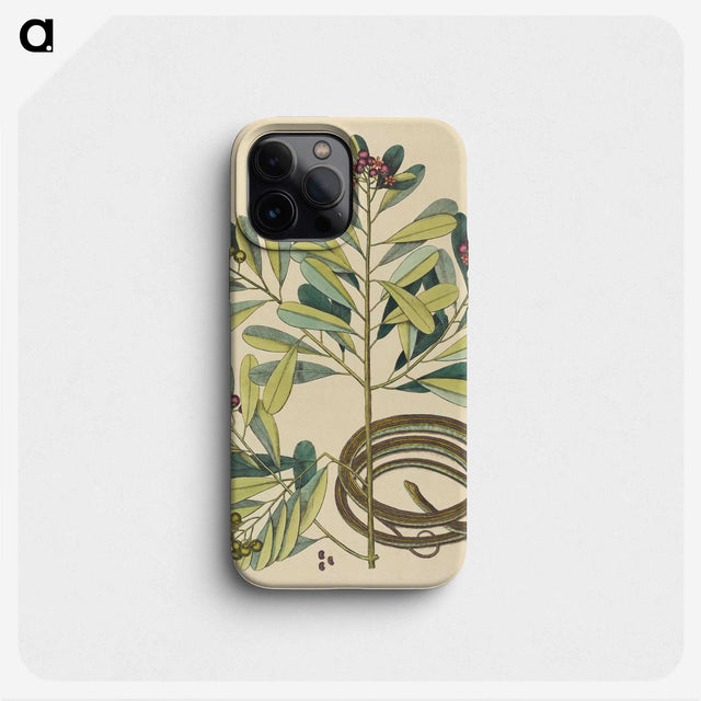 2-5_Mark-Catesby_phone