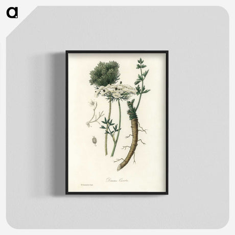 2-5_Medical-Botany_blk-crop