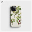 2-5_Native-Flowering-Plants-of-New-Zealand_phone