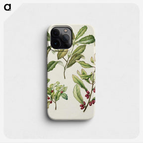 2-5_Native-Flowering-Plants-of-New-Zealand_phone