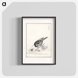 アートポスター-Brown-eared Bulbul Illustration
 - 鳥類図鑑 Poster.