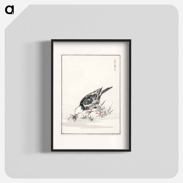 アートポスター-Brown-eared Bulbul Illustration
 - 鳥類図鑑 Poster.
