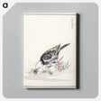 アートパネル-Brown-eared Bulbul Illustration
 - 鳥類図鑑 Canvas.