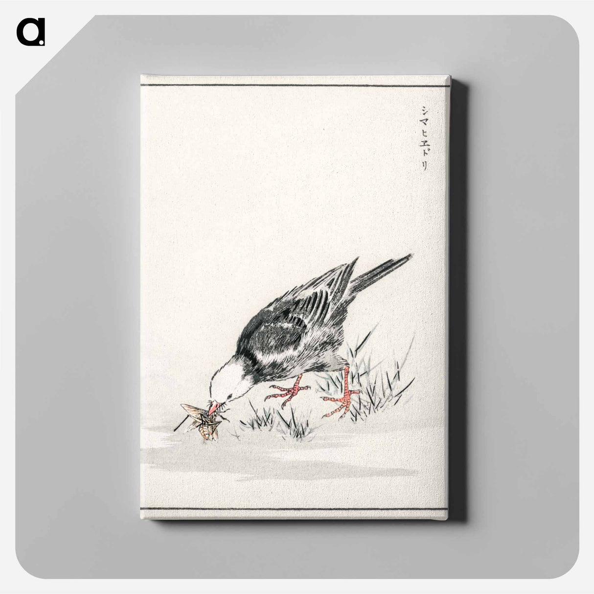 アートパネル-Brown-eared Bulbul Illustration
 - 鳥類図鑑 Canvas.