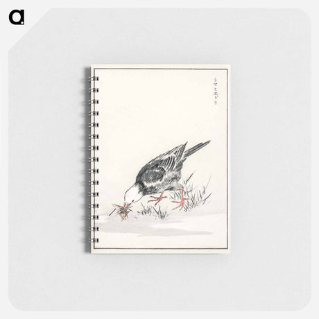アートメモ帳-Brown-eared Bulbul Illustration
 - 鳥類図鑑 Memo.
