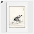 アートポスター-Brown-eared Bulbul Illustration
 - 鳥類図鑑 Poster.