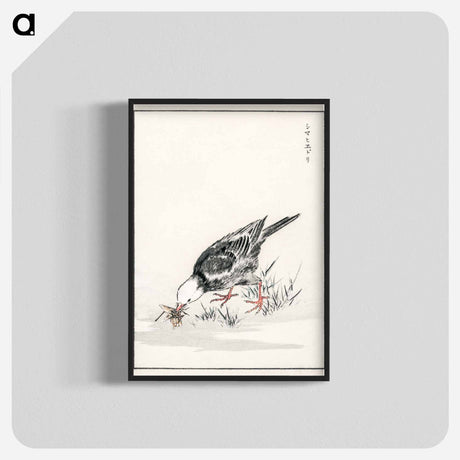アートポスター-Brown-eared Bulbul Illustration
 - 鳥類図鑑 Poster.