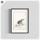 2-5_Pictorial-Monograph-of-Birds_blk