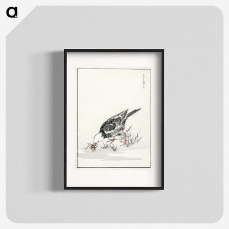 2-5_Pictorial-Monograph-of-Birds_blk