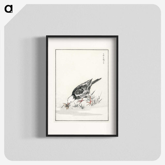 2-5_Pictorial-Monograph-of-Birds_blk