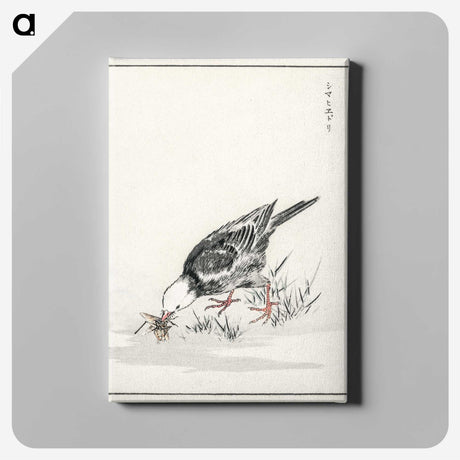 2-5_Pictorial-Monograph-of-Birds_canvas