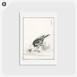 2-5_Pictorial-Monograph-of-Birds_hagaki