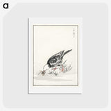 2-5_Pictorial-Monograph-of-Birds_hagaki