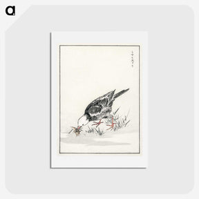 2-5_Pictorial-Monograph-of-Birds_hagaki