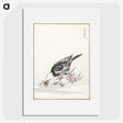 2-5_Pictorial-Monograph-of-Birds_picture