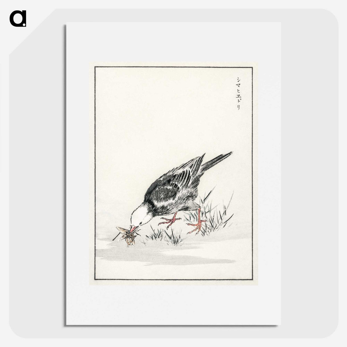 2-5_Pictorial-Monograph-of-Birds_picture