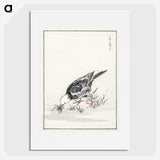 2-5_Pictorial-Monograph-of-Birds_picture