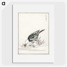 2-5_Pictorial-Monograph-of-Birds_picture