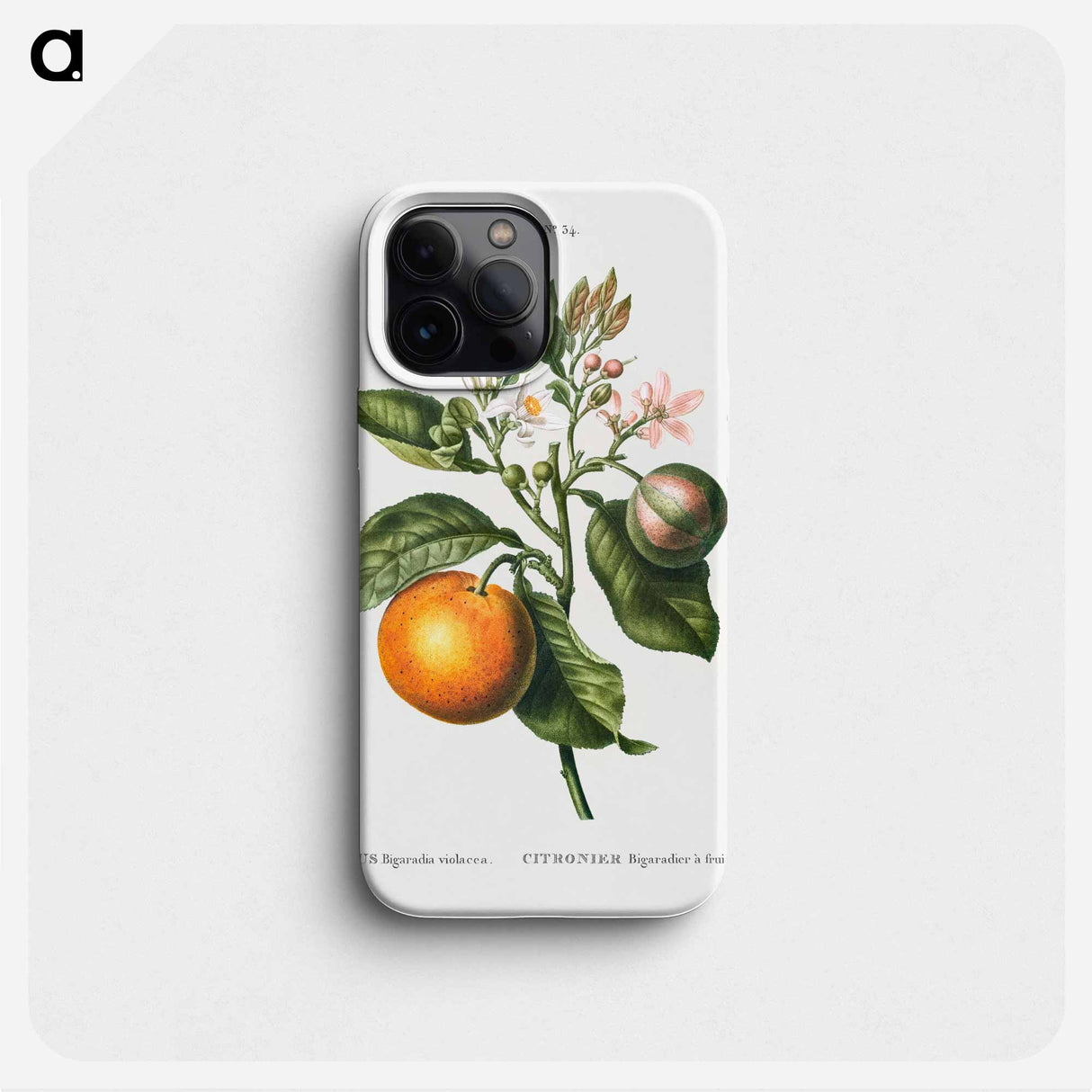 Bitter orange - Pierre Joseph Redouté Phone Case.