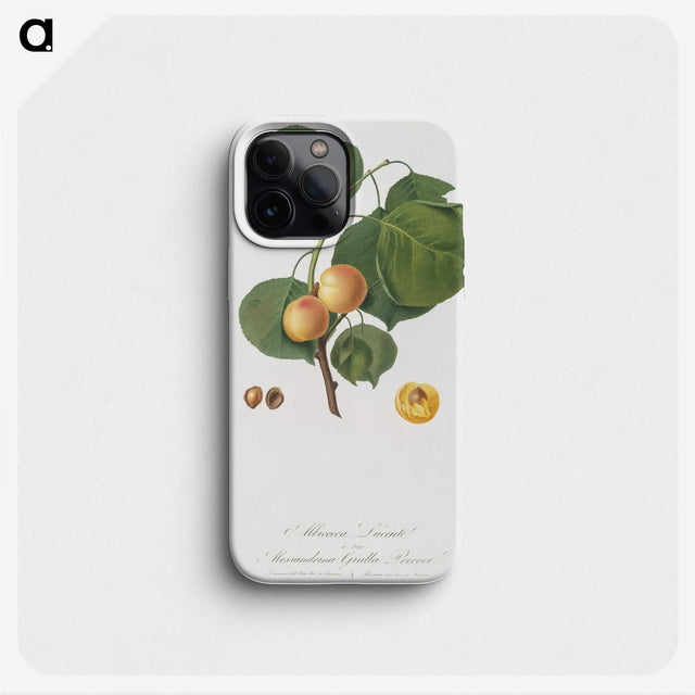 2-5_Pomona-Italiana_phone
