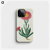 2-5_Robert-Jacob-Gordon_phone