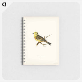 アートメモ帳-Yellowhammer
 - スヴェンスカ フォグラル Memo.