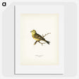 2-5_Svenska-Faglar_picture